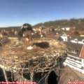 14_45-nest.jpg
