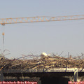 15_00-mast.jpg