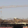 15_05-mast.jpg