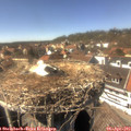 15_05-nest.jpg