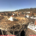 15_10-nest.jpg