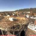15_15-nest.jpg