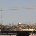 15_25-mast.jpg