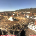 15_25-nest.jpg