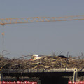 15_35-mast.jpg