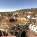 15_35-nest.jpg
