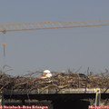 15_40-mast.jpg