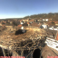 15_40-nest.jpg