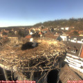 15_50-nest.jpg