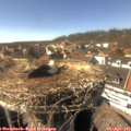 15_55-nest.jpg