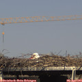 16_05-mast.jpg
