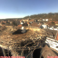 16_05-nest.jpg