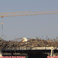 16_10-mast.jpg