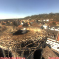 16_10-nest.jpg
