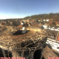 16_15-nest.jpg