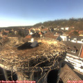 16_20-nest.jpg