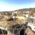 16_25-nest.jpg