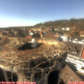 16_30-nest.jpg