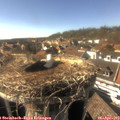 16_35-nest.jpg