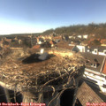 16_40-nest.jpg