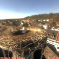 16_45-nest.jpg