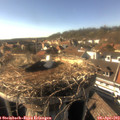 16_55-nest.jpg