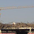 17_00-mast.jpg