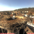 17_00-nest.jpg