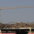 17_05-mast.jpg