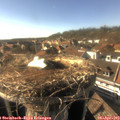 17_05-nest.jpg
