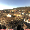 17_15-nest.jpg