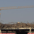 17_20-mast.jpg