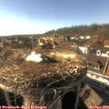 17_20-nest.jpg