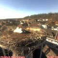 17_25-nest.jpg