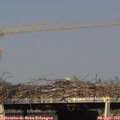 17_30-mast.jpg