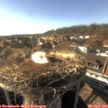 17_30-nest.jpg