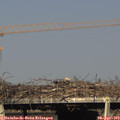 17_35-mast.jpg
