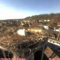 17_35-nest.jpg