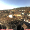 17_40-nest.jpg