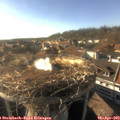 17_45-nest.jpg