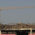 17_50-mast.jpg