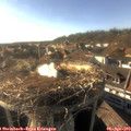 17_50-nest.jpg