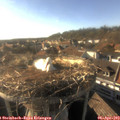 17_55-nest.jpg