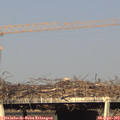 18_05-mast.jpg