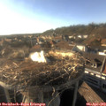 18_05-nest.jpg