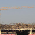 18_15-mast.jpg