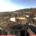 18_20-nest.jpg