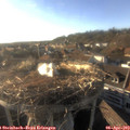 18_25-nest.jpg