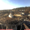 18_30-nest.jpg