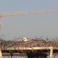 18_35-mast.jpg